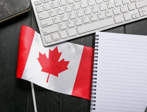 Consultant reviewing immigration case notes and officer remarks from file records