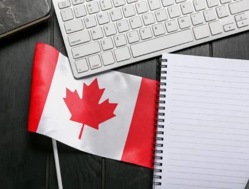 Consultant reviewing immigration case notes and officer remarks from file records