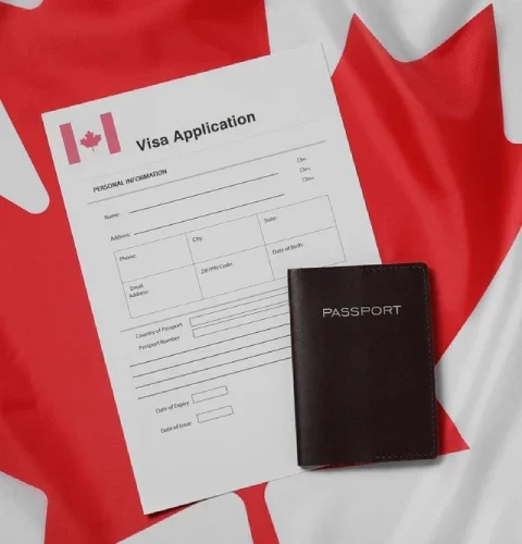 Simple steps to begin your immigration process with professional guidance