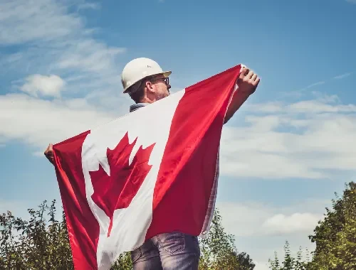 Immigration consultant assessing provincial nomination options for a Canadian PR pathway